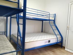 a couple of bunk beds in a room at Condomínio Equestre in Golegã