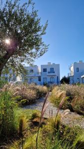a row of white buildings with a tree and grass at Villa Meraki in Kastraki