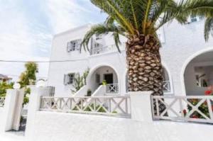 eine Palme vor einem weißen Gebäude in der Unterkunft Villa Kalamia Dolphin in Perissa