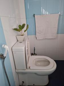 a bathroom with a toilet with a potted plant on it at ADLi in Belihuloya +5 photos