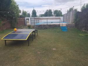a yard with two ping pong tables in the grass at Elu in Ingeniero Giagnoni