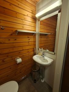 a bathroom with a sink and a toilet and a mirror at Chalet Ylläs C413 included bed linen and towels in Ylläs