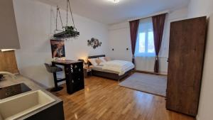 a living room with a bed and a couch at Boudoir-Art Studio Apartment in Debrecen