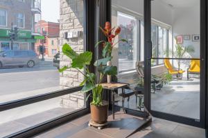 Φωτογραφία από το άλμπουμ του Cjour Apartments στο Μόντρεαλ
