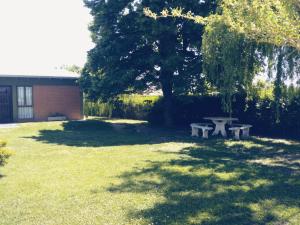 a picnic table under a tree in a yard at La finca in San Rafael +3 photos