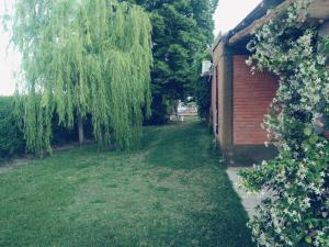 a yard next to a house with a tree at La finca in San Rafael