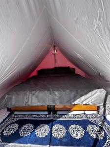 a bedroom with a bed in a tent at Kasol Shalom Camps & Cafe in Kasol