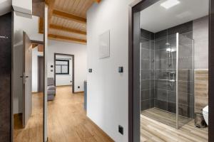 a bathroom with a walk in shower and a glass door at Chalupa u Rašovských in Jasenice