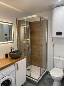 a bathroom with a shower with a sink and a toilet at Studio avec toutes les commodités autour in Faverges