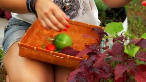 a woman holding a basket of fruits and vegetables at Munroe Eco Camp in Munroe Island