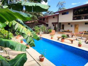 a pool in front of a house with plants at Tekana Boutique Hotel Jungle Retreat in Tamarindo