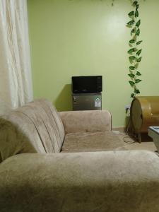 a living room with a couch and a tv at Venguest Homes & Accomodation in Naivasha