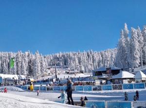a group of people in the snow on a ski slope at Woodside Kopaonik & SPA by Slopeview in Kopaonik
