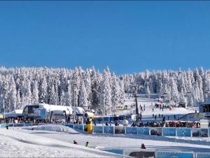 a crowd of people at a ski slope with snow covered trees at Woodside Kopaonik & SPA by Slopeview in Kopaonik