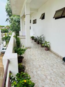 a patio with potted plants on a white building at BNT BOYs HOSTEL in Lucknow