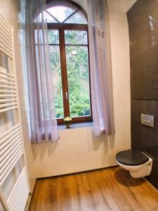 a bathroom with a toilet and a window at T4 en duplex, résidence atypique en pleine forêt in Yzeron