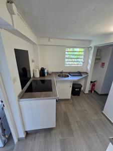 a kitchen with a sink and a counter top at Gite thérèse LAMENTIN in Lamentin