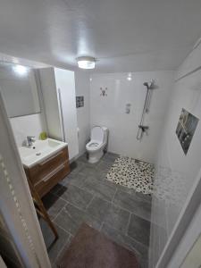 a bathroom with a toilet and a sink and a shower at Gite thérèse LAMENTIN in Lamentin +4 photos