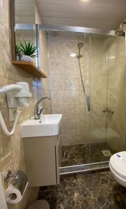 a bathroom with a shower and a sink and a toilet at Pera Standard Rooms in Istanbul