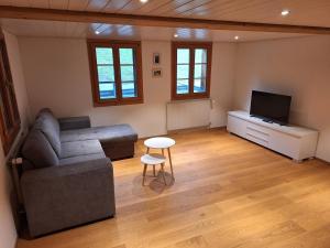 a living room with a couch and a tv at Rustikale Wohnung auf dem Bauernhof in Malters