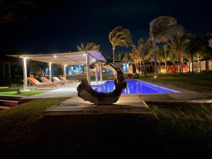 a sculpture in front of a swimming pool at night at Casa da Ponta in Fortim