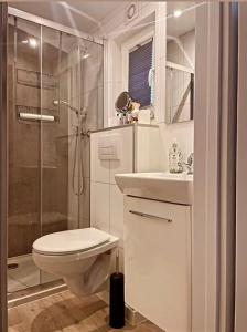 a white bathroom with a toilet and a shower at Chalet de Hofstee 118 in Nunspeet +12 photos