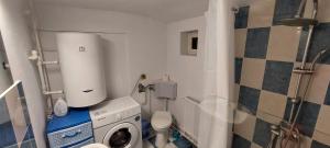 a small bathroom with a washing machine and a toilet at CABANA CASA LU'BACIU in Arpaşu de Sus
