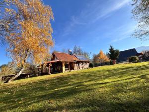 a house on a grassy field with a tree at CABANA CASA LU'BACIU in Arpaşu de Sus