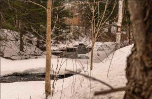 a snow covered ground with trees and a creek at Spa - Waterfront - La Source in Saint Come +27 photos