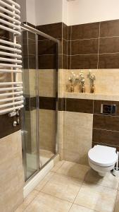 a bathroom with a toilet and a shower at Neptun in Legnica