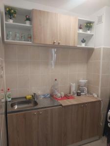 a kitchen with a sink and a counter top at Studio Relax2 in Bacău