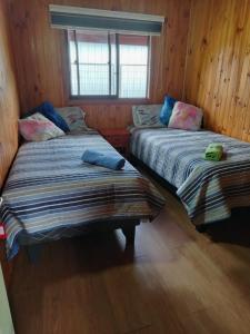 two beds in a room with wooden walls at Hospedaje Sandra in Llanquihue