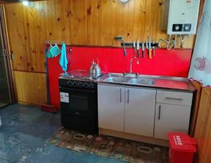a kitchen with a sink and a stove at Hospedaje Sandra in Llanquihue