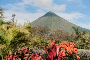 a mountain with a bunch of flowers in the foreground at Hotel Sanctuarium Adults Only in Fortuna +75 photos