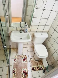 a bathroom with a toilet and a sink at Residência Central Triunfo-PE in Triunfo +6 photos