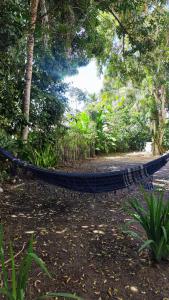 a hammock in the middle of a park at Chalé Rústico Cumuruxatiba in Cumuruxatiba
