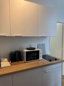 a microwave oven sitting on a counter in a kitchen at La suite du parc 1 in Nancy