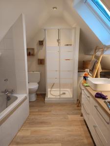 a bathroom with a shower and a toilet and a sink at Le Royal Billy in Dreux