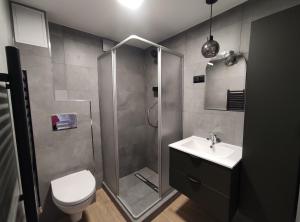 a bathroom with a shower and a toilet and a sink at Noclegi Piaskowa 44 in Nowa Karczma +8 photos