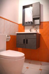 a bathroom with a toilet and a sink at Gran Mansion Dorada in Tacna +12 photos