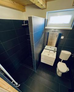 a bathroom with a toilet and a sink and a window at Jolcsi Apartman in Balatonfüred