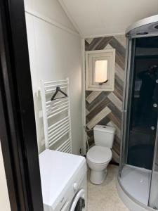 a small bathroom with a toilet and a shower at First houses 82 in Rijen
