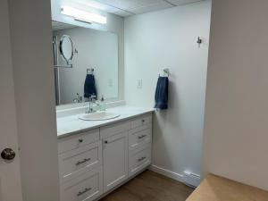 a bathroom with a sink and a mirror at The Basement Suite on Paradise Hill in Prince George