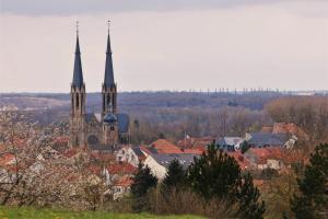 a church with two spires in a city with buildings at Au relais in Sarralbe