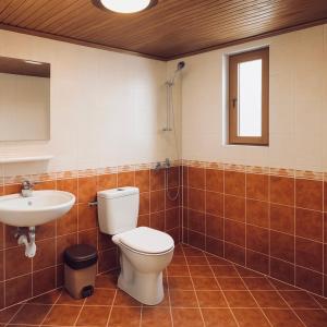 a bathroom with a toilet and a sink at Complex Ristanite in Elena