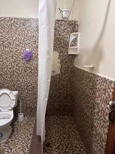 a bathroom with a shower with a toilet at Albergue Happy Backpacker in Cuenca +36 photos