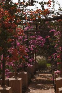 a garden with pink flowers and a wooden pergola at Bliss Terra Janna in Marrakesh +141 photos