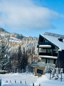 a building in the snow with a mountain at Willa Makuchówka in Korbielów
