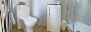 a white bathroom with a toilet and a shower at Rockhill Guest House in Moffat +68 photos