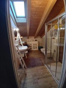 a bathroom with a shower and a sink and a ladder at Casa Moreschi in Tresivio +63 photos